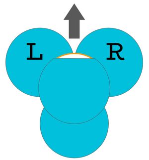Screenshot of an illustration of a Dash robot viewed from the top. The card has an arrow pointing in the direction of Dash's eye and the left and right sides are labeled L and R respectively.   